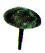 Tiki Umbrella