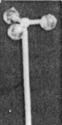 3-Sphere Globe Signal -- Solid White Styrene