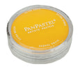 Panpastel Color Powder -- Diarylide Yellow