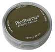 Panpastel Color Powder -- Yellow Ochre Extra Dark