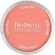 Panpastel Color Powder -- Vermillion Medium