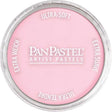 Panpastel Color Powder -- Crimson Tint