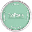 Panpastel Color Powder -- Permanent Green Light