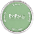 Panpastel Color Powder -- Chromium Oxide Green Light