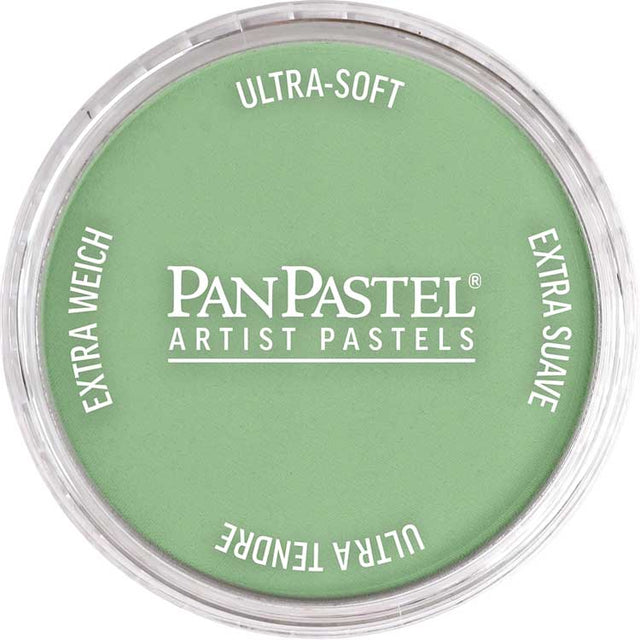 Panpastel Color Powder -- Chromium Oxide Green Light