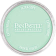 Panpastel Color Powder -- Blue Green Tint