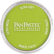 Panpastel Color Powder -- Bright Yellow Green