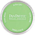 Panpastel Color Powder -- Yellow Green Light
