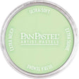 Panpastel Color Powder -- Yellow Green Tint