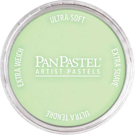 Panpastel Color Powder -- Yellow Green Tint