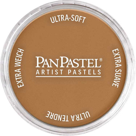 Panpastel Color Powder -- Raw Sienna Shade