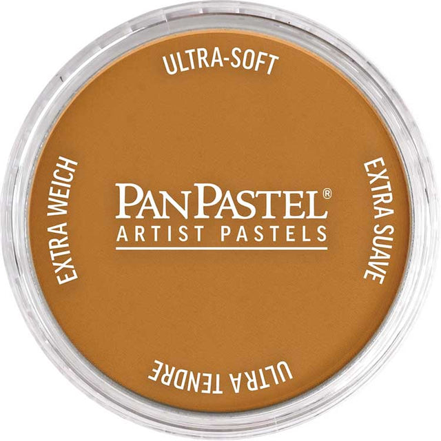 Panpastel Color Powder -- Raw Sienna