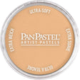 Panpastel Color Powder -- Raw Sienna Light