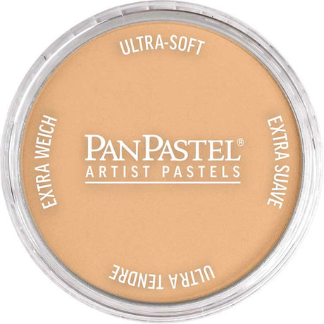 Panpastel Color Powder -- Raw Sienna Light