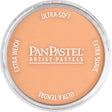 Panpastel Color Powder -- Burnt Sienna Light