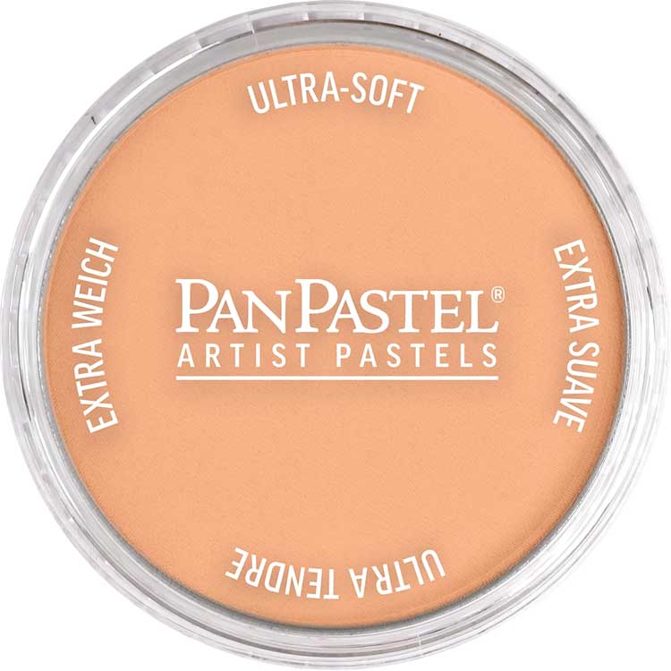 Panpastel Color Powder -- Burnt Sienna Light