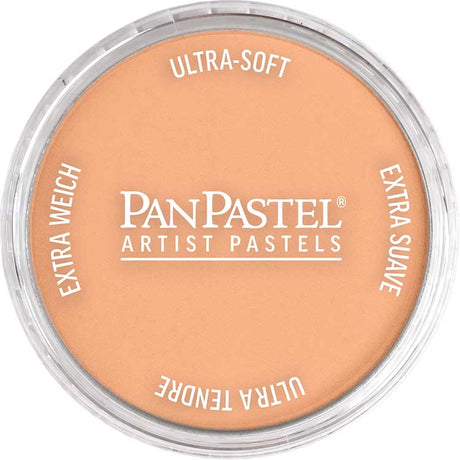 Panpastel Color Powder -- Burnt Sienna Light