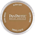 Panpastel Color Powder -- Burnt Umber Medium