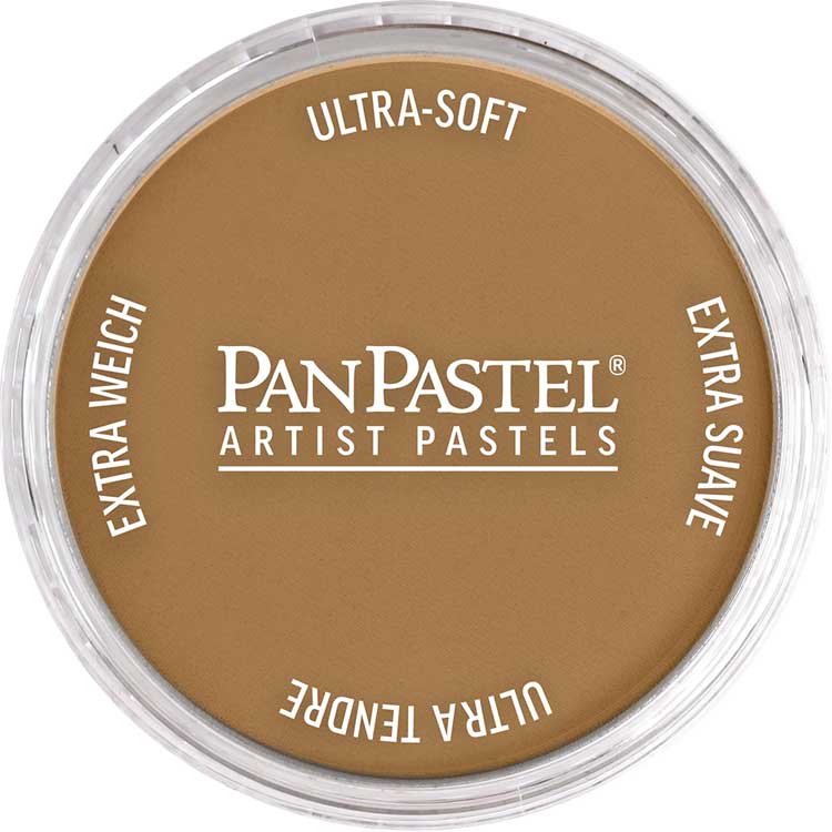 Panpastel Color Powder -- Burnt Umber Medium