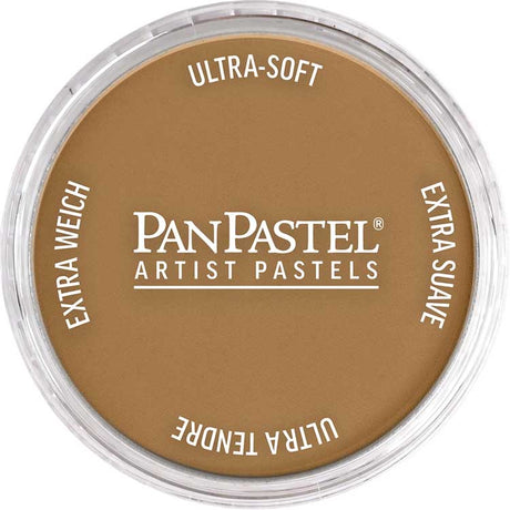 Panpastel Color Powder -- Burnt Umber Medium