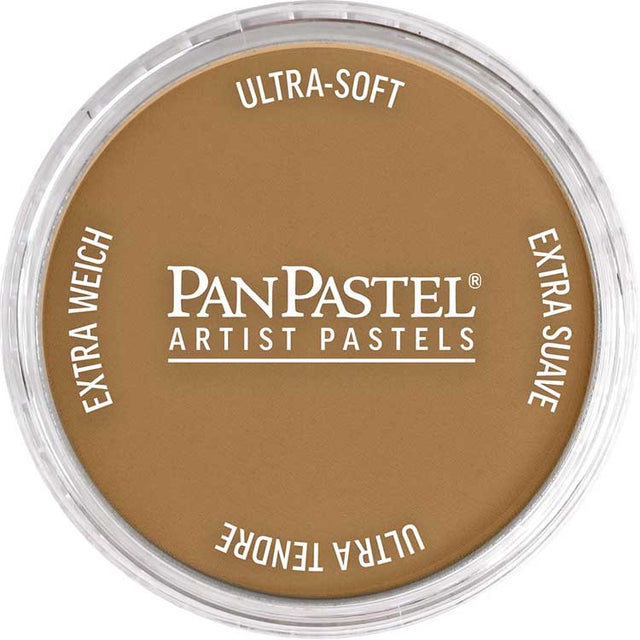 Panpastel Color Powder -- Burnt Umber Medium