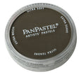 Panpastel Color Powder -- Raw Umber Shade