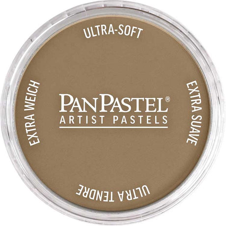Panpastel Color Powder -- Raw Umber Light