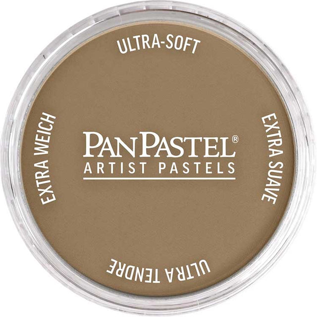 Panpastel Color Powder -- Raw Umber Light