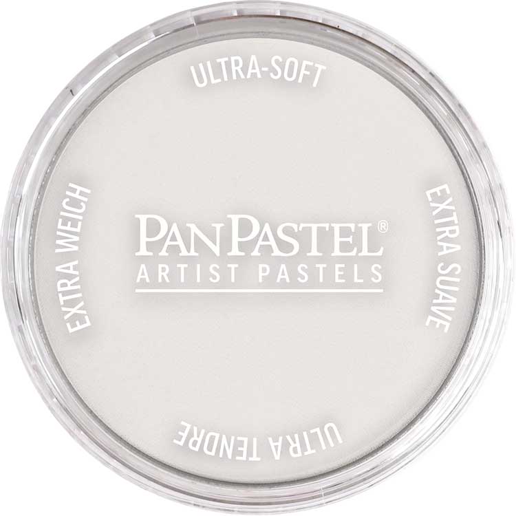Panpastel Color Powder -- Neutral Gray Tint 8