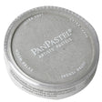 Panpastel Metallic Color Powder -- Silver