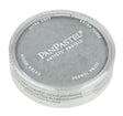 Panpastel Metallic Color Powder -- Pewter