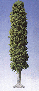 Poplar Tree -- 35cm  13.9"