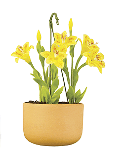 Flower Pot - Terra Cotta -- Lillies