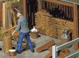 Wood Pile & Tools
