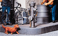 Fire Hydrants