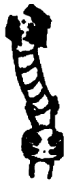 Lower Main Steam Supply