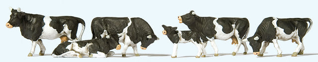 Cows -- Black, White pkg(6)