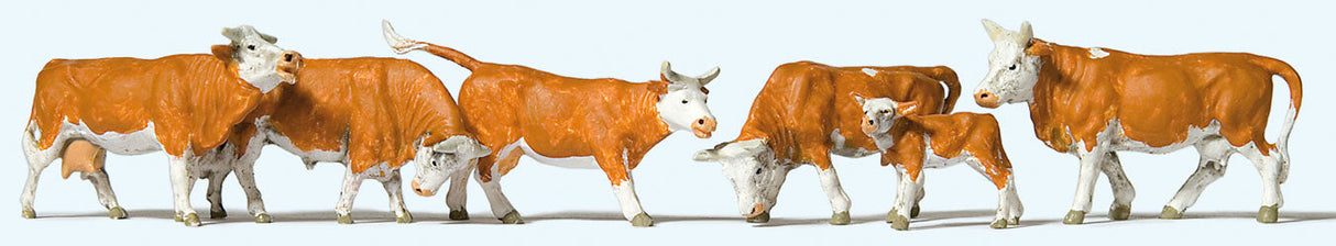 Cows -- Brown, White pkg(6)