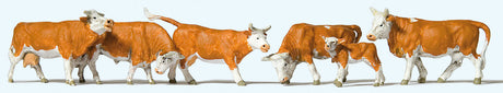 Cows -- Brown, White pkg(6)