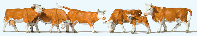 Cows -- Brown, White pkg(6)