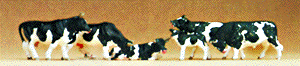 Assorted Cows
