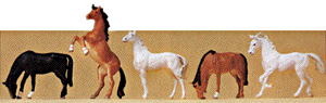 Animals -- Horses