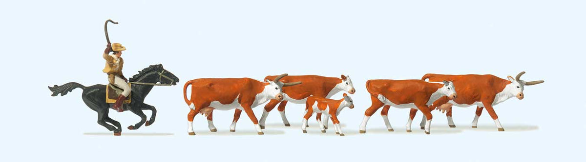 Riding Cowboy and 5 Longhorn Cattle