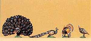 Animals -- Turkeys & Peacocks pkg(4)