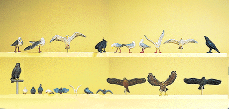 Pigeons, Seagulls, Crows & Birds Of Prey -- 22 Pieces
