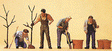 People Working -- Men Planting Trees