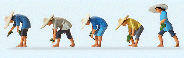 Working People -- At The Rice Field #1