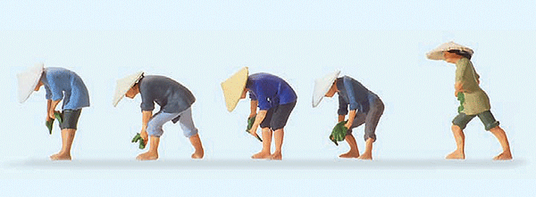Working People -- At The Rice Field #2