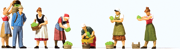 Grape Harvest -- pkg(7)