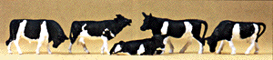 Animals -- Cows - Colors may vary, black/white, brown/white.